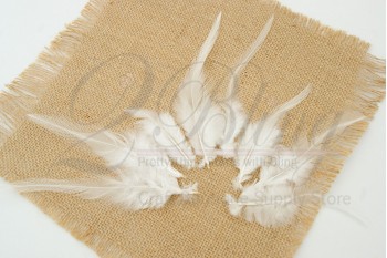 Loose Feather, Coque Rooster, White, Short  (Pack of 20)